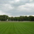 Murawa stadionu w Pleszewie